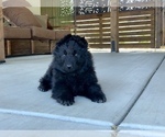 Small #164 Breeder Profile image