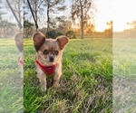 Small #63 Breeder Profile image