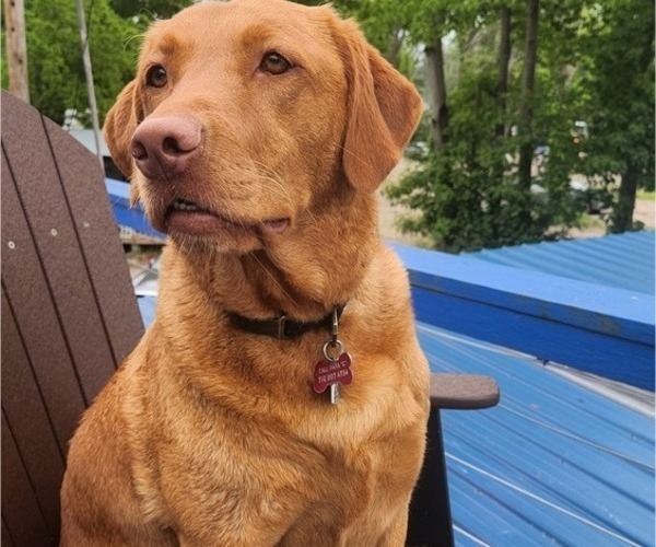 Medium Photo #7  Breeder Profile in BUFFALO, NY, USA