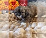 Small #13 Breeder Profile image