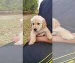 Small #10 Breeder Profile image