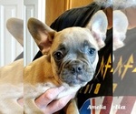 Small #9 Breeder Profile image