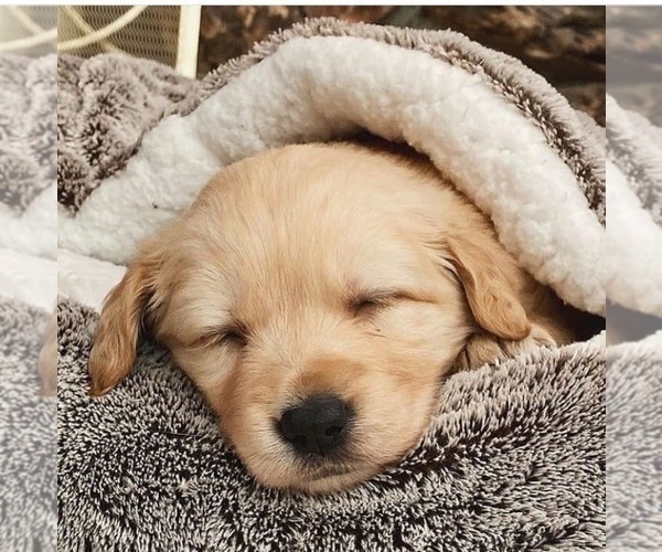 Medium Photo #8  Breeder Profile in CENTRAL CITY, KY, USA