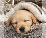 Small #7 Breeder Profile image