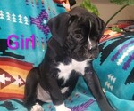Small #3 Breeder Profile image