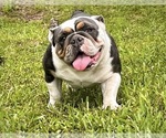 Small #5 Breeder Profile image