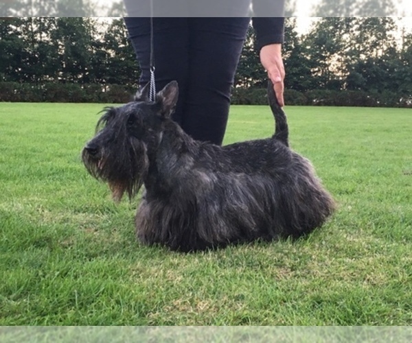 Medium Photo #1  Breeder Profile in EVA, AL, USA