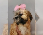 Small #9 Breeder Profile image