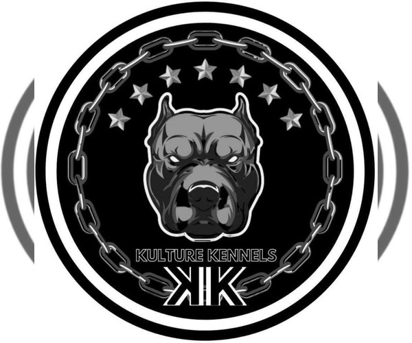 Medium Photo #1  Breeder Profile in GRAND RAPIDS, MI, USA