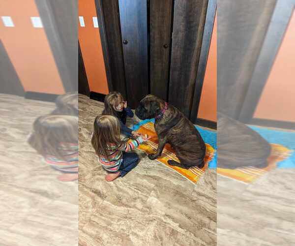 Medium Photo #2  Breeder Profile in SHERRILL, IA, USA