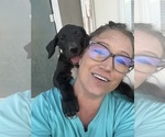 Small #6 Breeder Profile image