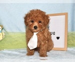 Small #3 Breeder Profile image
