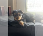 Small #10 Breeder Profile image