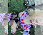 Small #3 Breeder Profile image