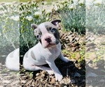 Small #4 Breeder Profile image