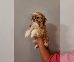 Small #8 Breeder Profile image