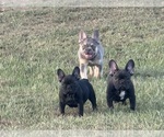 Small #18 Breeder Profile image