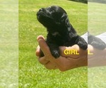 Small #8 Breeder Profile image