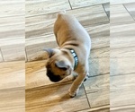 Small #14 Breeder Profile image