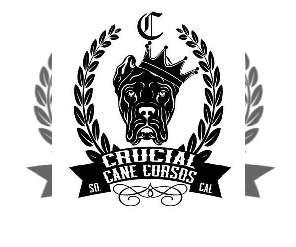 Medium Photo #1  Breeder Profile in HEMET, CA, USA