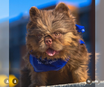 Small #10 Breeder Profile image