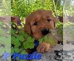 Small #26 Breeder Profile image