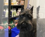Small #3 Breeder Profile image