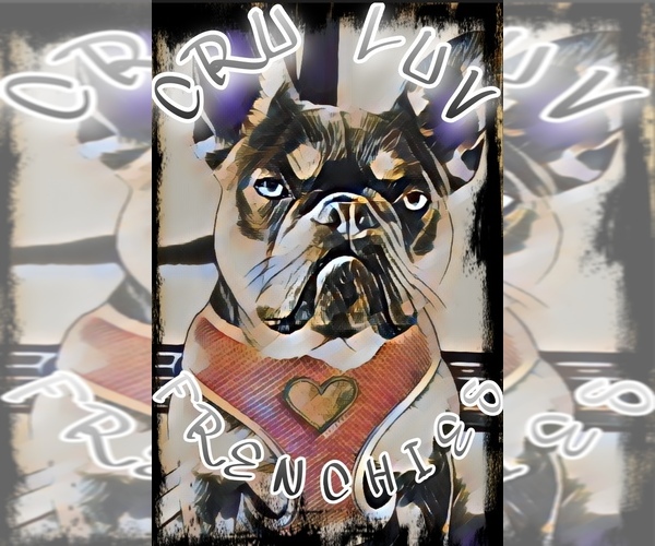 Medium Photo #1  Breeder Profile in STATEN ISLAND, NY, USA