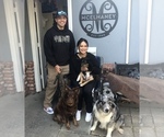 Small #44 Breeder Profile image