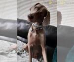 Small #1 Breeder Profile image