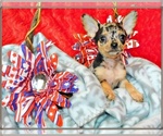 Small #7 Breeder Profile image
