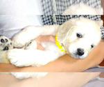Small #7 Breeder Profile image