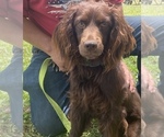 Small #3 Breeder Profile image