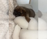 Small #5 Breeder Profile image