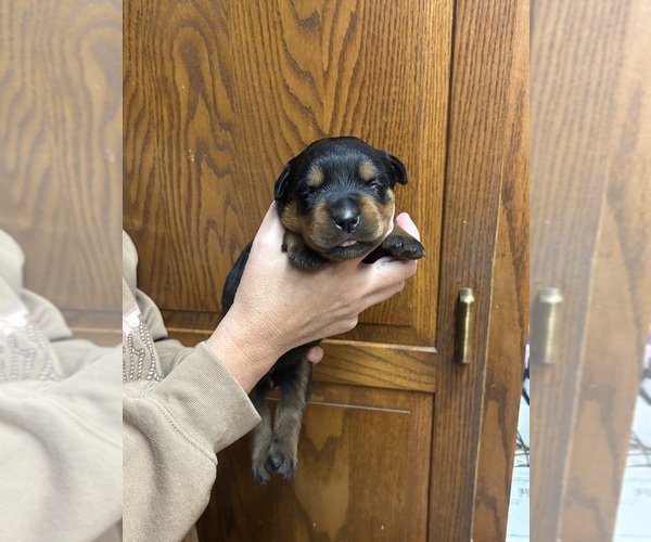 Medium Photo #6  Breeder Profile in UNION, IA, USA