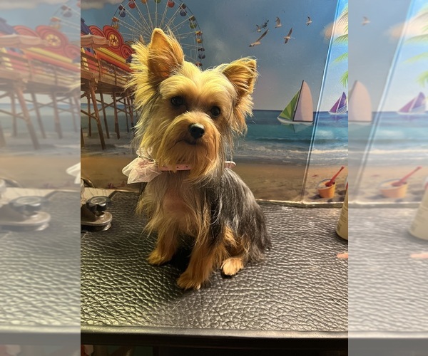 Medium Photo #4  Breeder Profile in KEITHVILLE, LA, USA