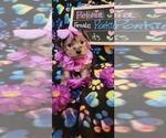 Small #213 Breeder Profile image