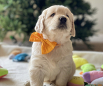 Small #4 Breeder Profile image