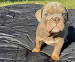 Small #5 Breeder Profile image