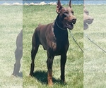 Small #1 Breeder Profile image