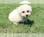 Small #2 Breeder Profile image