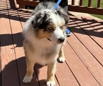 Small #2 Breeder Profile image