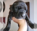 Small #22 Breeder Profile image