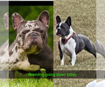 Small #18 Breeder Profile image