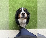 Small #8 Breeder Profile image