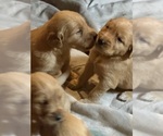 Small #23 Breeder Profile image
