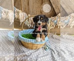 Small #5 Breeder Profile image