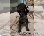 Small #6 Breeder Profile image