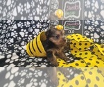 Small #254 Breeder Profile image