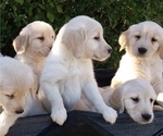 Small #7 Breeder Profile image